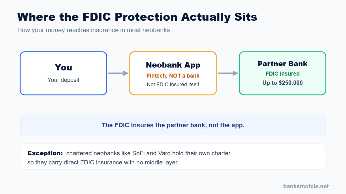 Diagram showing are neobanks safe: how FDIC insurance flows from you through the app to the partner bank